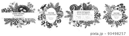 Mysterious forest hand drawn frame templates. Vintage illustrations of waxwing, snail, nest, pool frog, moss, spruce branch, pine cones, chamomile, insect, aspen mushroom, porcini, red currant, oak Mysterious forest hand drawn frame templates. Vintage illustrations of waxwing, snail, nest, pool frog, moss, spruce branch, pine cones, chamomile, insect, aspen mushroom, porcini, red currant, oak 93498257
