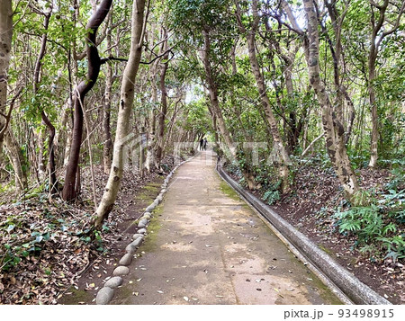 【高知県】四国最南端の足摺岬の遊歩道 【高知県】四国最南端の足摺岬の遊歩道 93498915