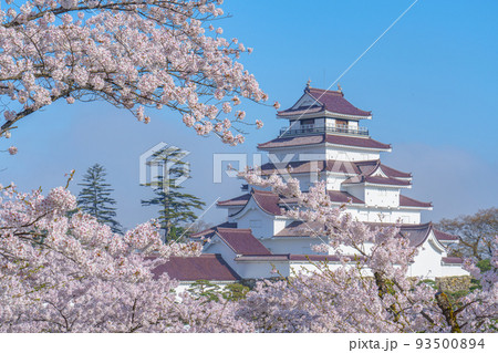 桜満開の鶴ヶ城　会津若松観光（春） 93500894