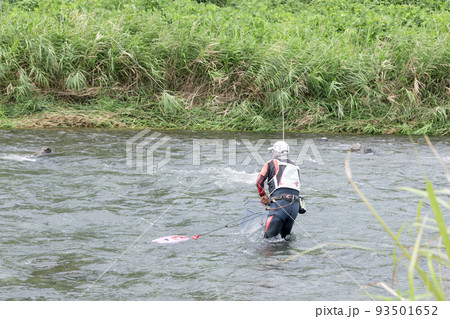 【夏の中津川で鮎釣り】 【夏の中津川で鮎釣り】 93501652