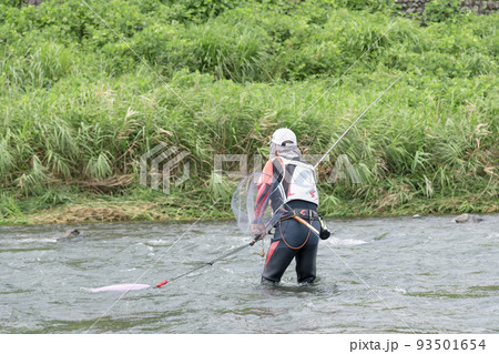 【夏の中津川で鮎釣り】 【夏の中津川で鮎釣り】 93501654