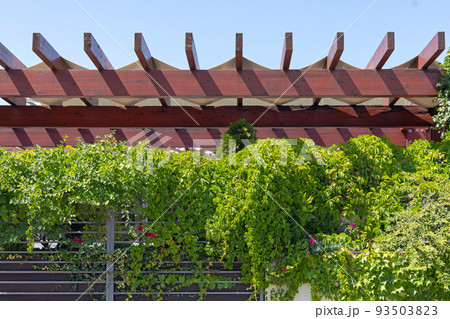 Wooden Beams Canvas Shade 93503823
