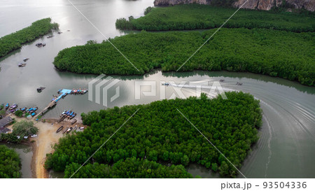 Aerial view of Thai traditional longtail fishing boats at the pier in Phang Nga Bay in the Andaman Sea, Thailand. Top view of many fishing boats floating in the sea among mangrove forest. 93504336
