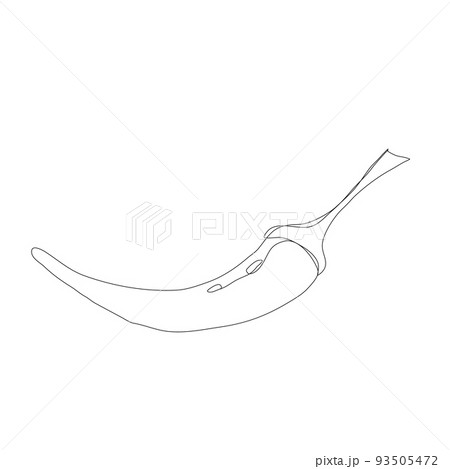 Set of chilli peppers by hand drawing.chilli peppers vector sketch • wall  stickers icon, heat, healthy | myloview.com