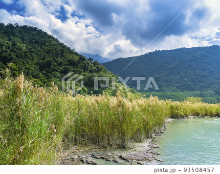 台湾・日月潭 水辺の風景 台湾・日月潭 水辺の風景 93508457
