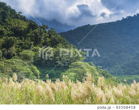 台湾・日月潭周囲の森林とロープウェイ 93508458