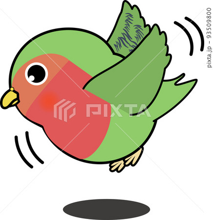 飛ぶかわいいコザクラインコ 飛ぶかわいいコザクラインコ 93509800