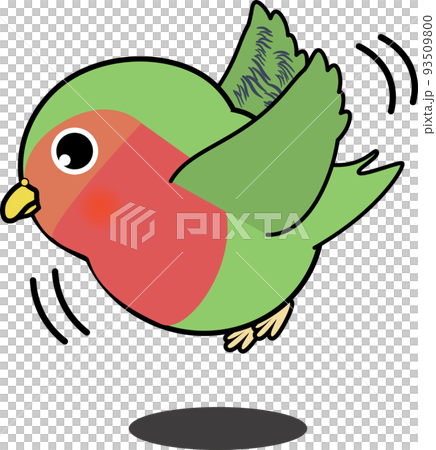 飛ぶかわいいコザクラインコ 飛ぶかわいいコザクラインコ 93509800