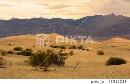 Mesquite Dunes in Death Valley National Park, California is a constantly changing phenomenon. Mesquite Dunes in Death Valley National Park, California is a constantly changing phenomenon. 93511253