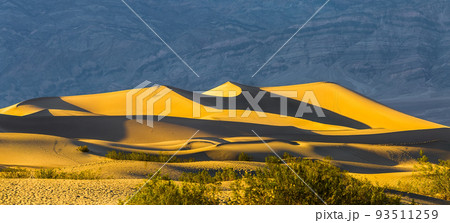 Mesquite Dunes in Death Valley National Park, California is a constantly changing phenomenon. 93511259