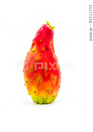 Fresh mature Prickly pears isolated on white background. 93511755