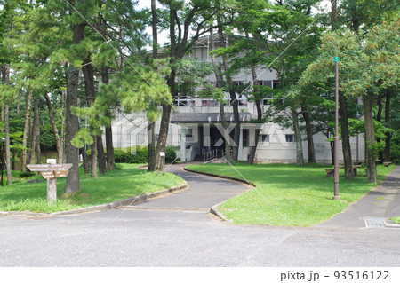 三瓶青少年交流の家の体育館の景色 三瓶青少年交流の家の体育館の景色 93516122