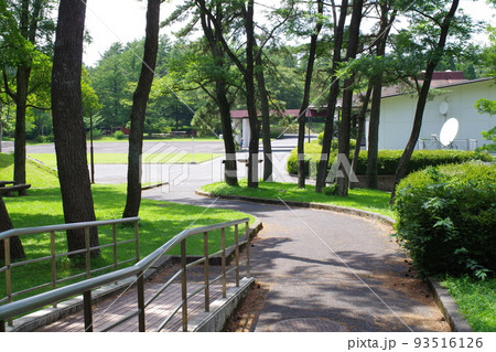 三瓶青少年交流の家の松林の景色 93516126