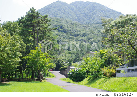 三瓶青少年交流の家から眺めた三瓶山の景色 93516127