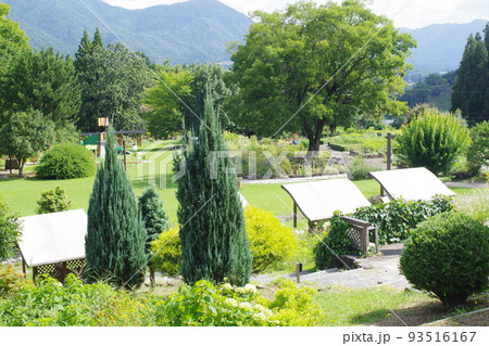 邑南町香木の森公園の景色 93516167