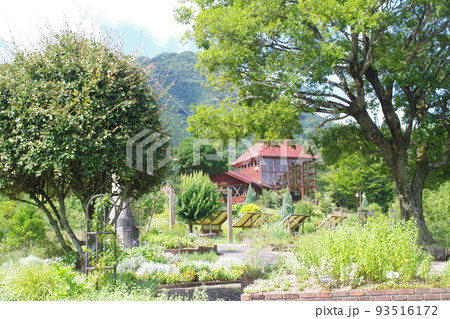 邑南町香木の森公園の景色 93516172