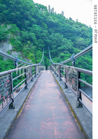 吹割渓谷遊歩道 浮島橋 初夏の風景 吹割渓谷遊歩道 浮島橋 初夏の風景 93516186