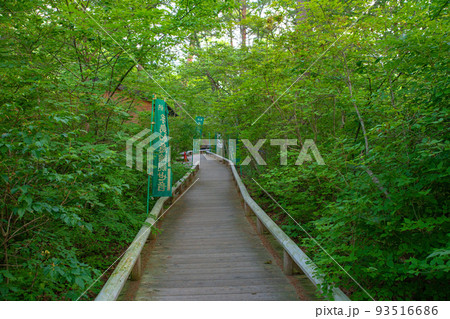 吹割渓谷遊歩道 浮島観音堂 初夏の風景 吹割渓谷遊歩道 浮島観音堂 初夏の風景 93516686