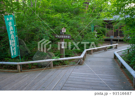 吹割渓谷遊歩道 浮島観音堂 初夏の風景 吹割渓谷遊歩道 浮島観音堂 初夏の風景 93516687
