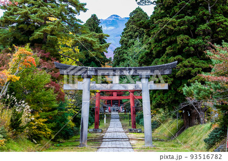 青森県弘前市 岩木山神社 ~紅葉に染まる参道と岩木山~ 青森県弘前市 岩木山神社 ~紅葉に染まる参道と岩木山~ 93516782