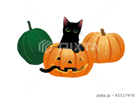 かぼちゃ と黒猫＿単品 93517470