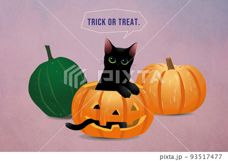 かぼちゃ と黒猫＿POSTCARD 93517477