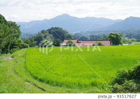 邑南町夏の田園風景 93517627
