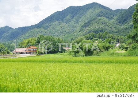 邑南町夏の田園風景 93517637