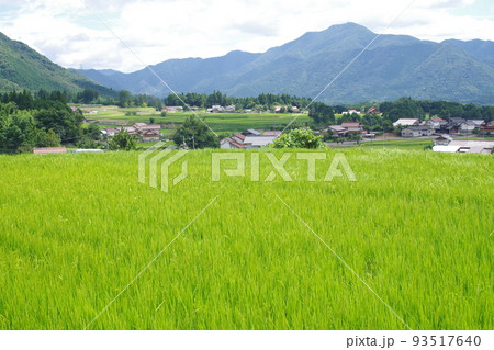 邑南町夏の田園風景 93517640