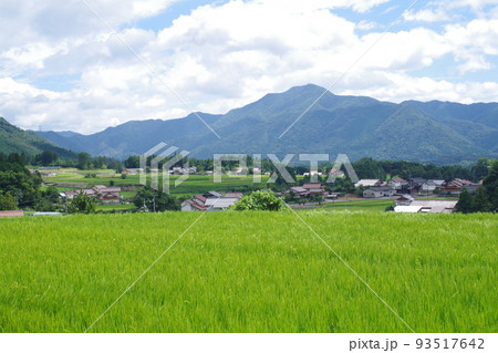 邑南町夏の田園風景 邑南町夏の田園風景 93517642