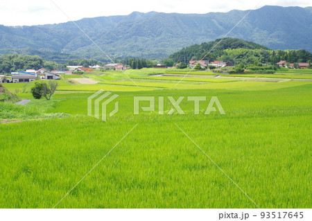 邑南町夏の田園風景 93517645