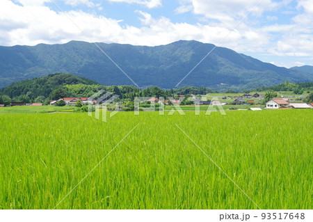 邑南町夏の田園風景 93517648