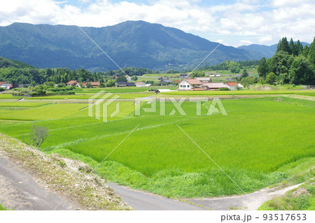 邑南町夏の田園風景 邑南町夏の田園風景 93517653