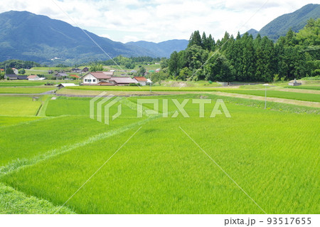 邑南町夏の田園風景 邑南町夏の田園風景 93517655