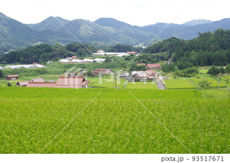 邑南町夏の田園風景 93517671