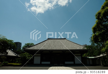 五月晴れのもと、新緑が美しく輝く海雲寺 93518289