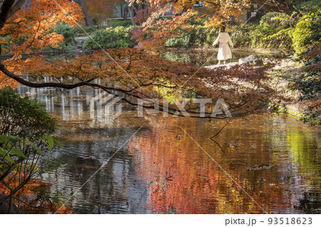 紅葉を映す池　清水谷公園　秋　紅葉　東京都千代田区紀尾井町   93518623