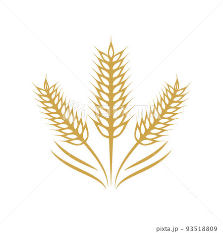 Wheat illustration designのイラスト素材 [93518809] - PIXTA