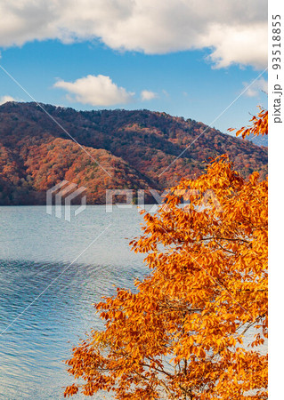 国内屈指の観光地　奥日光の秋　紅葉の中禅寺湖 93518855