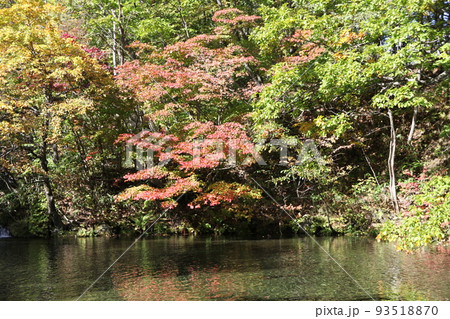 池_ふきだし公園_京極町 池_ふきだし公園_京極町 93518870