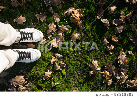 feet in white sneakers on green grass with autumn oak leaves. View from above. copy space 93518885