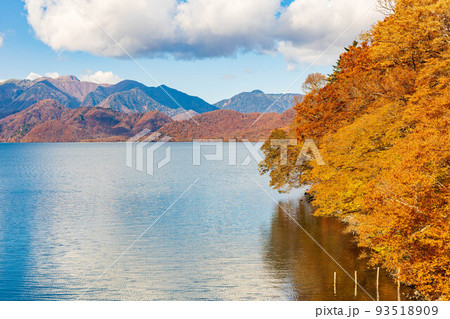 国内屈指の観光地　奥日光の秋　紅葉の中禅寺湖 93518909