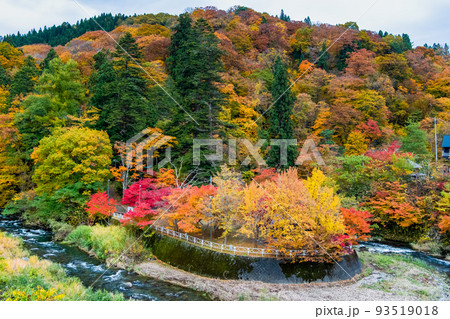 青森県黒石市 中野もみじ山　～紅葉に彩られた山と中野川～ 93519018