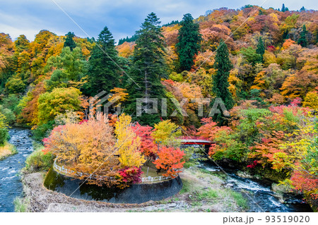 青森県黒石市 中野もみじ山　～紅葉に彩られた山と中野川～ 93519020