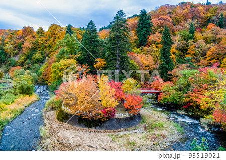 青森県黒石市 中野もみじ山　～紅葉に彩られた山と中野川～ 93519021