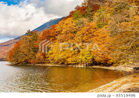 国内屈指の観光地　奥日光の秋　紅葉の中禅寺湖 93519496