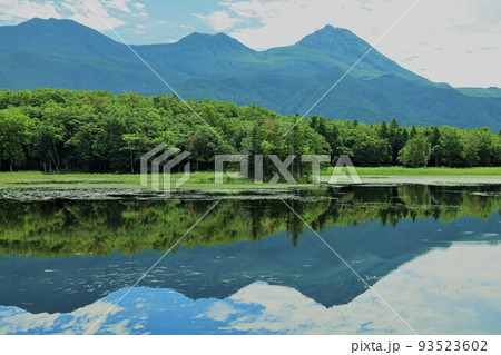 夏の北海道、最果ての地・知床半島で味わう知床五胡ネイチャーウォーク 夏の北海道、最果ての地・知床半島で味わう知床五胡ネイチャーウォーク 93523602