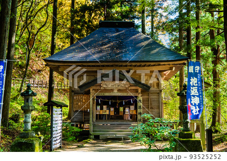 秋田県仙北市 紅葉に染まる抱返り渓谷 ~抱返り神社~ 秋田県仙北市 紅葉に染まる抱返り渓谷 ~抱返り神社~ 93525252