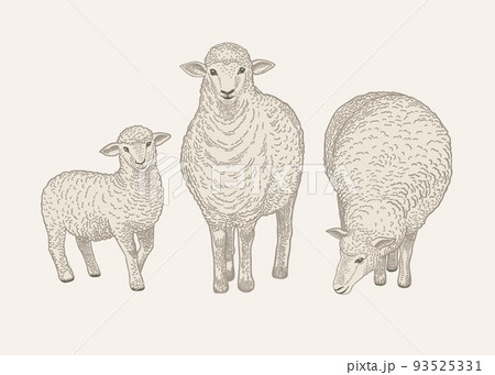 Set with three sheep. 93525331