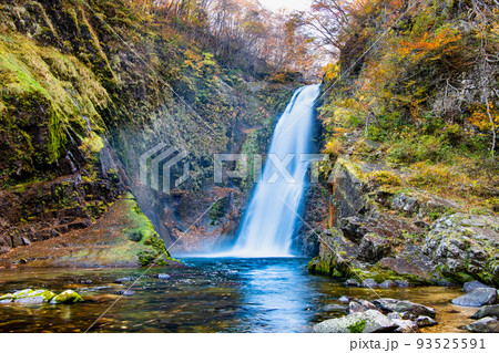 宮城県仙台市　晩秋の秋保大滝 93525591